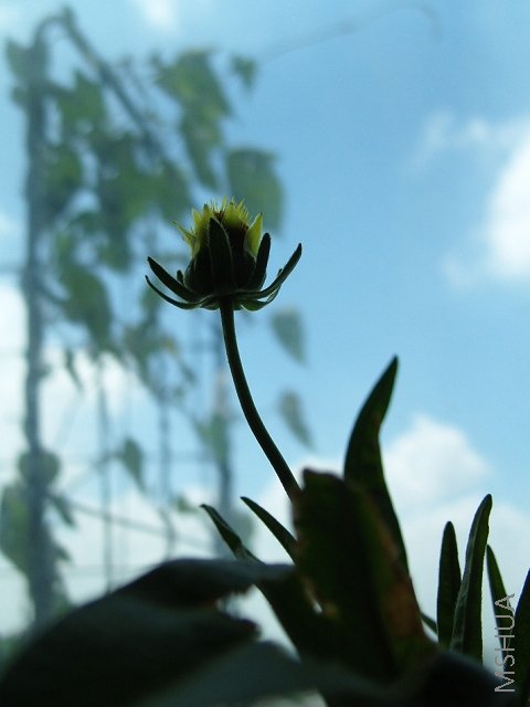 л���������