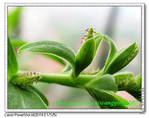 nEO_IMG_8,7�� 011.jpg