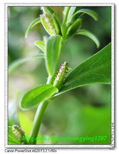 nEO_IMG_8,7�� 020.jpg