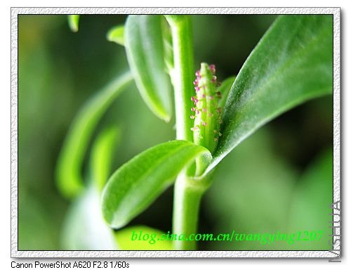 nEO_IMG_8,7�� 012.jpg