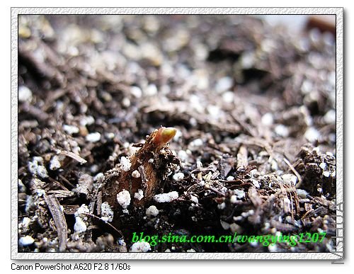 nEO_IMG_8,7�� 008.jpg