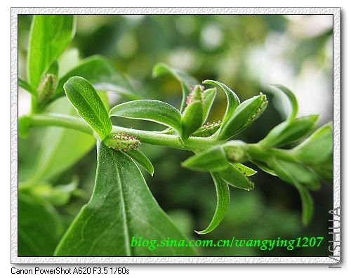 nEO_IMG_8,7�� 016.jpg