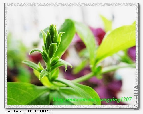 nEO_IMG_8,7�� 014.jpg