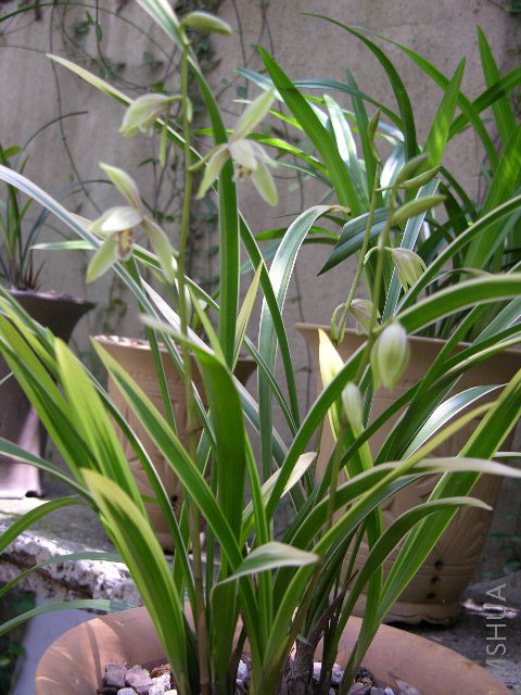 DSCN2486.JPG