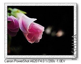 nEO_IMG_nEO_IMG_8,9��ѩ�� 033.jpg