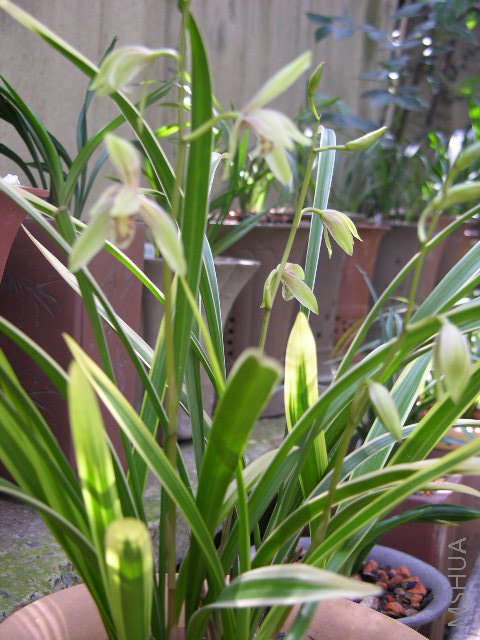 DSCN2485.JPG