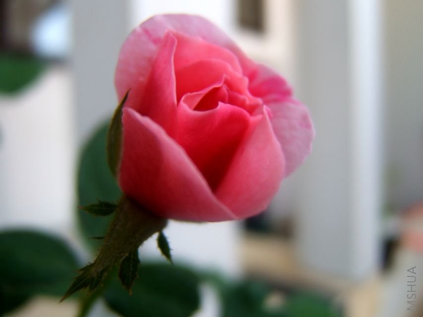 ��Ƭ 074.jpg