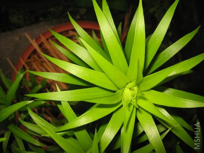 ò�����ǻ����ɡ��Ǻ�