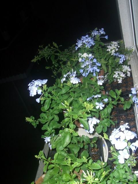 �����ع� ��ת CIMG0019.JPG