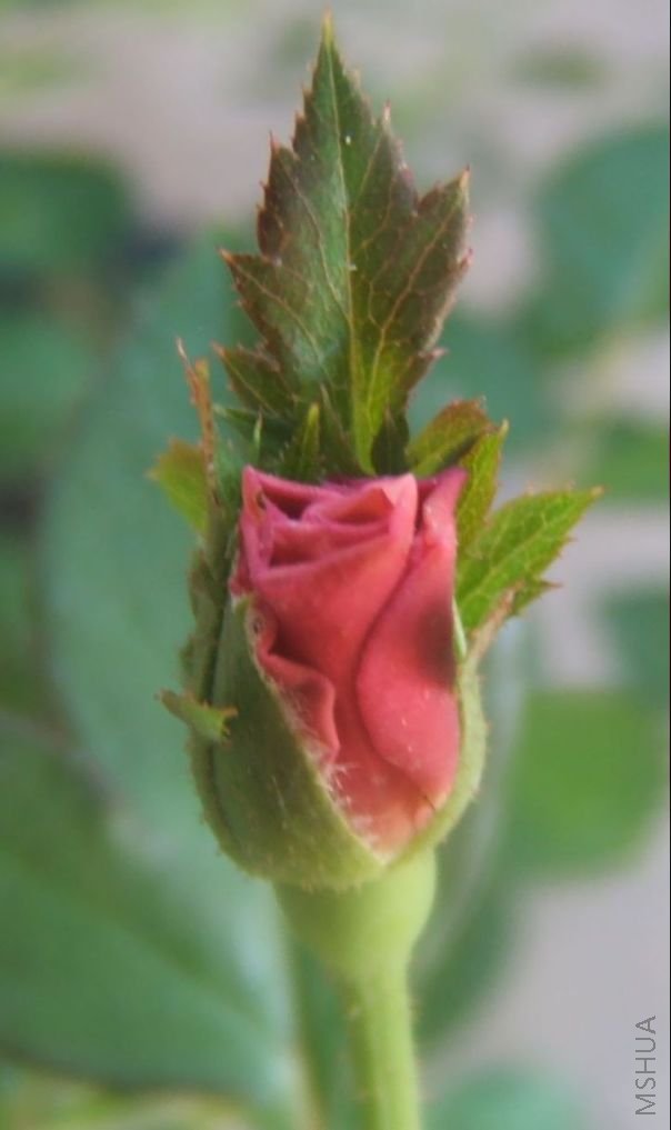 ��Ƭ 063.jpg