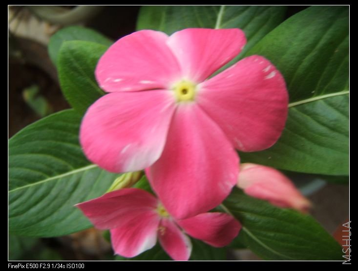 �ڶ��꣬��ɫ�е�仯