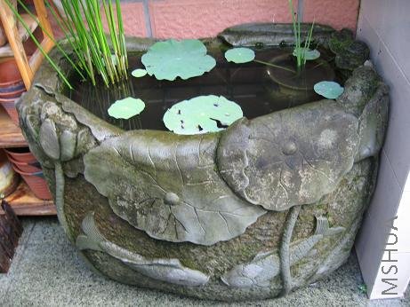 ���¾�Ϊ���ڵ�����