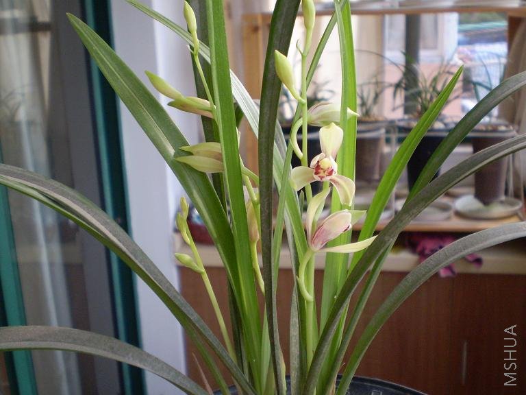 P7130180.JPG