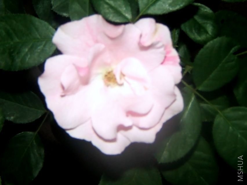 ��Ƭ 086.jpg