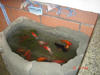 ���Ǹ��������ģ��