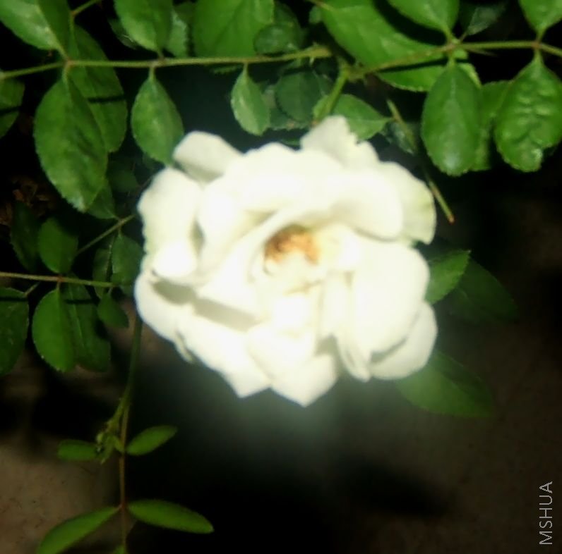 ��Ƭ 094.jpg