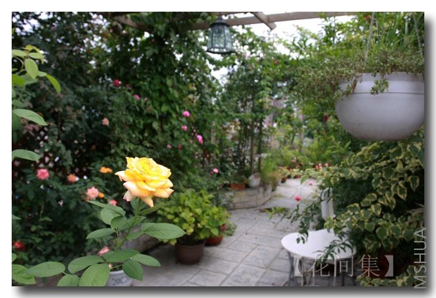 IMG_5521 ����.jpg