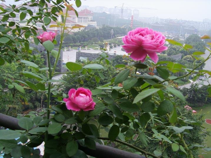 ���������ĵģ����ú�Ư��