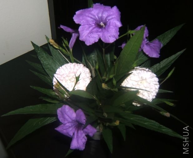 ��Ƭ 097.jpg