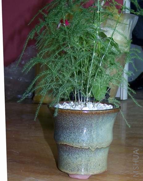 �򻨵�ʱ�򿴵��ˣ��ʶ���Ǯ�ģ�����Ϊ����Ҫ�����أ�������˵�����ˣ���ʰ�ɾ��˻������е���˼�ġ�