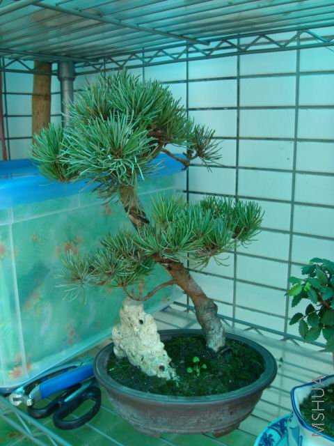 DSC00046.JPG