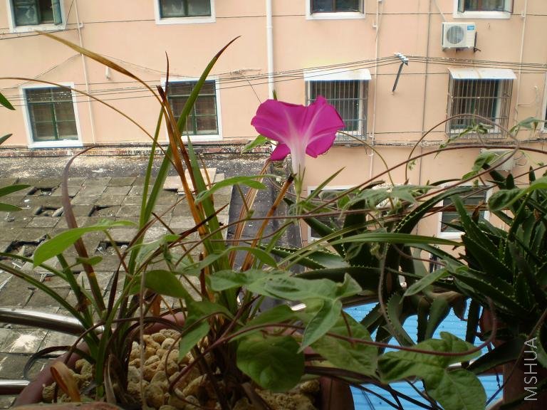 P7170184.JPG