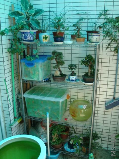 DSC00043.JPG