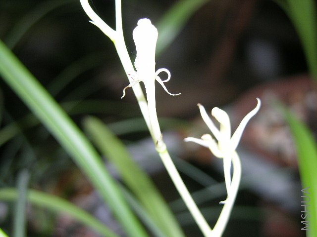 DSCN2532.JPG