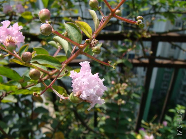 DSC00059.JPG