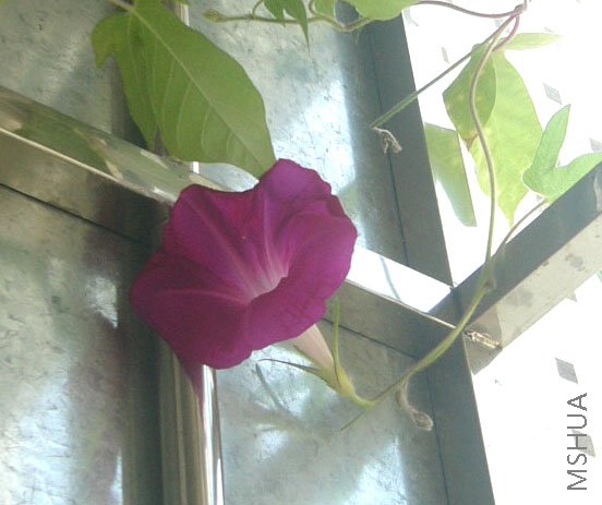 P1100320.JPG