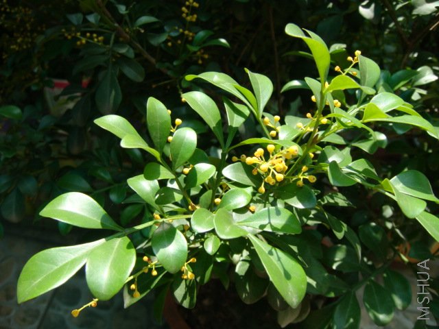 DSC00051.JPG
