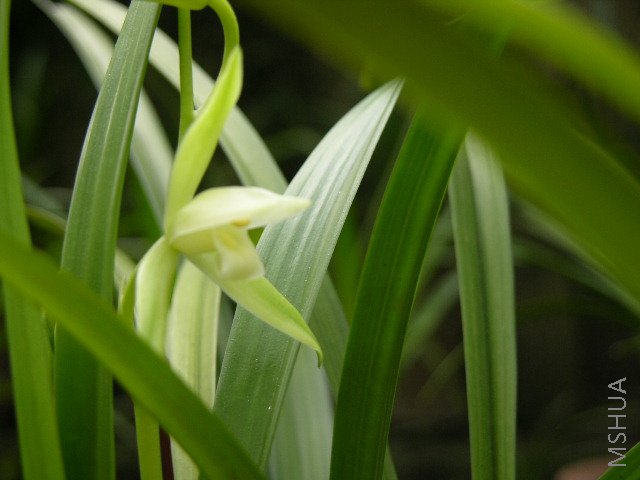 DSCN2526.JPG