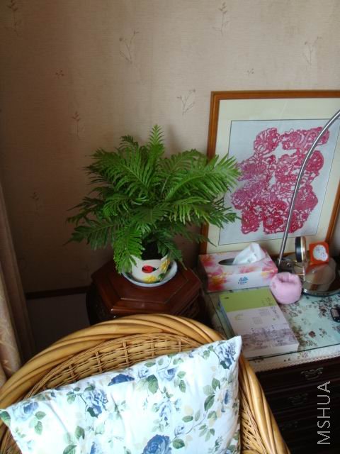 DSC00042.JPG