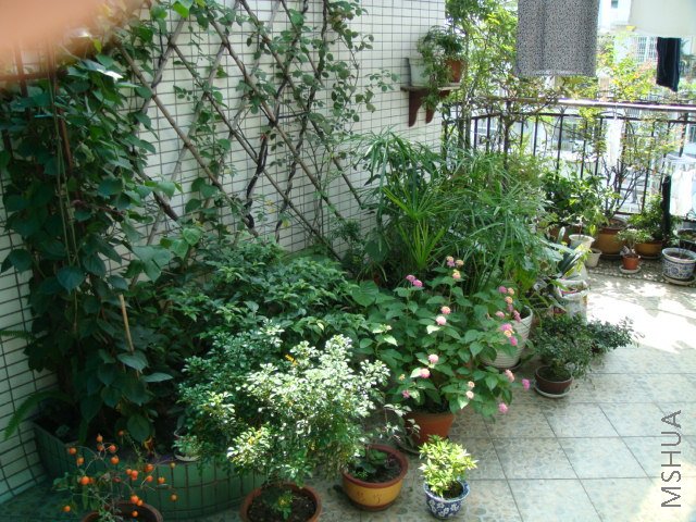 DSC00050.JPG
