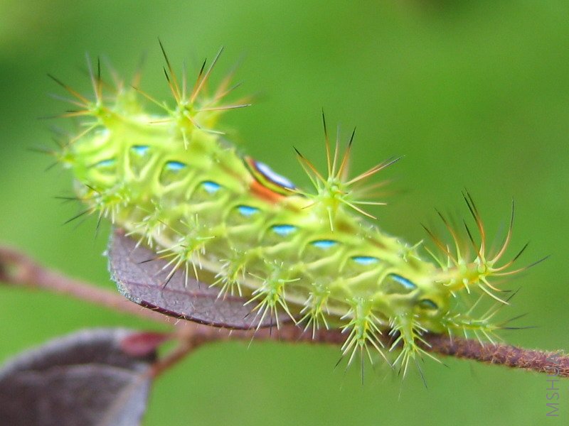 ��ë�� 02.jpg