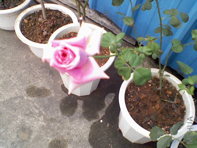 081808065920.jpg