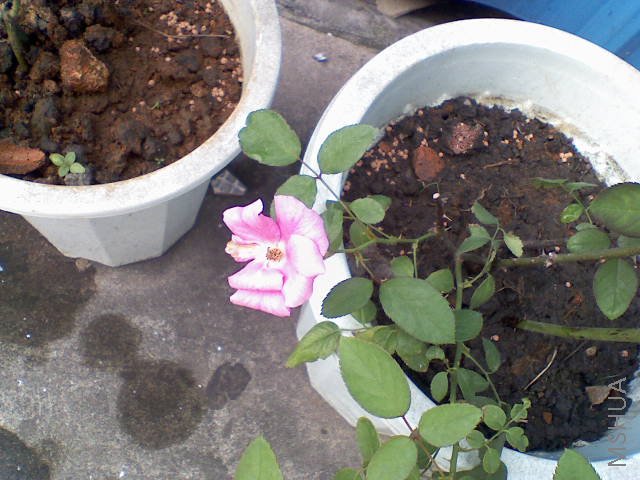 081808065909.jpg