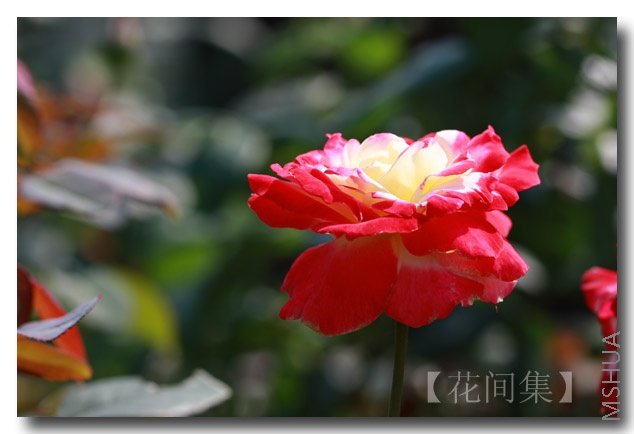 IMG_5590 ����.jpg