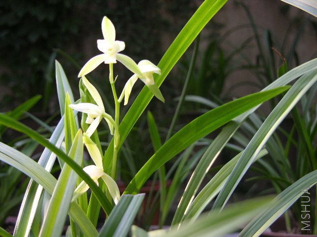 DSCN2555.JPG