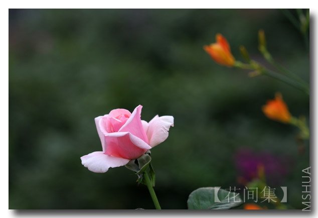 IMG_0177 ����.jpg