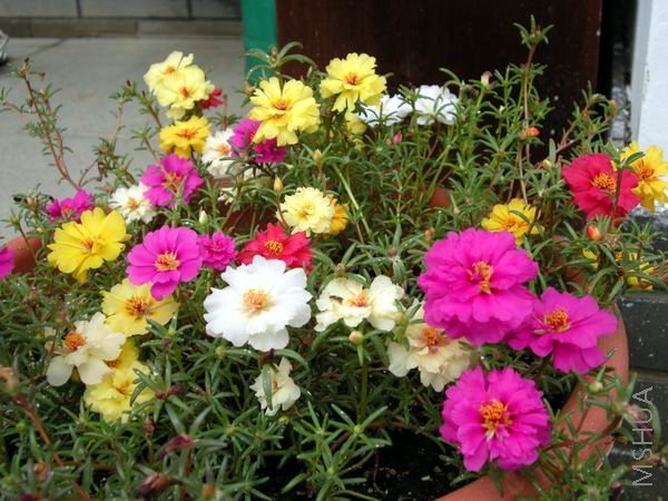��Ƭ 048.jpg