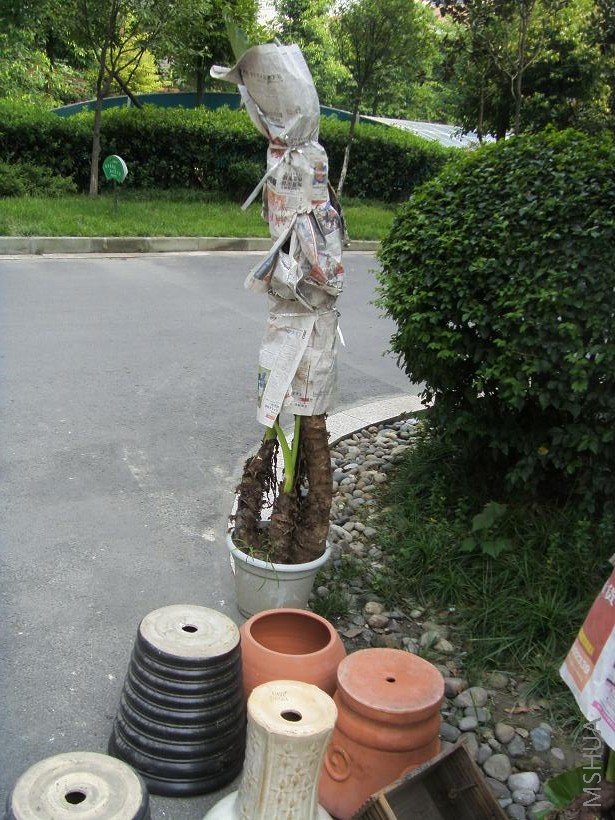 ���Ǻ���