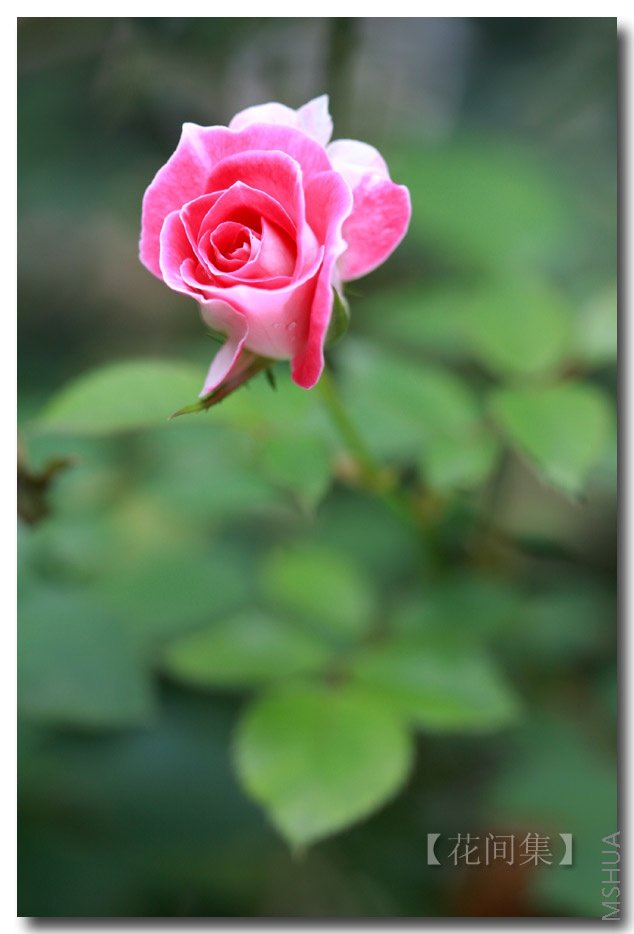 IMG_5561 ����.jpg