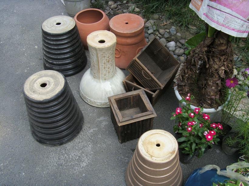 �ö໨�裬��ϲ����ɫ���ջ��裬�ܱ��˵�30һ����̿��ľ����15һ��