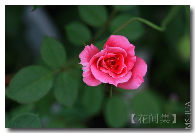 IMG_5577 ����.jpg