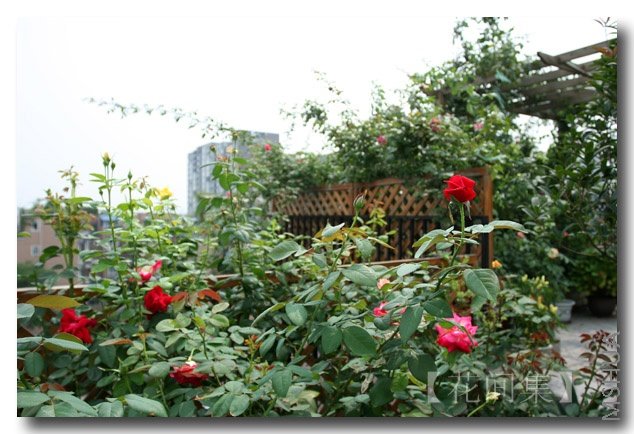 IMG_3483 ����.jpg