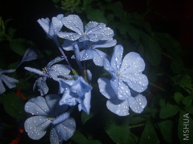 CIMG0069.JPG