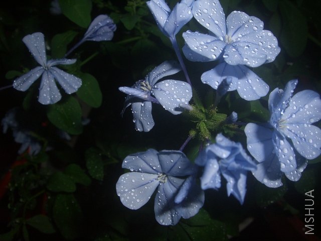 CIMG0089.JPG