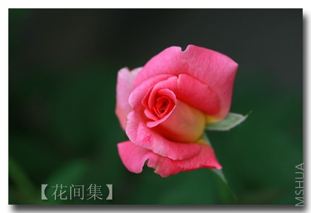 IMG_6322 ����.jpg