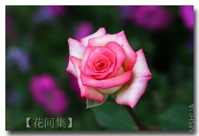 IMG_9227 ����.jpg